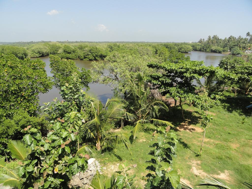 Peacock Land Hotel Tangalle Buitenkant foto
