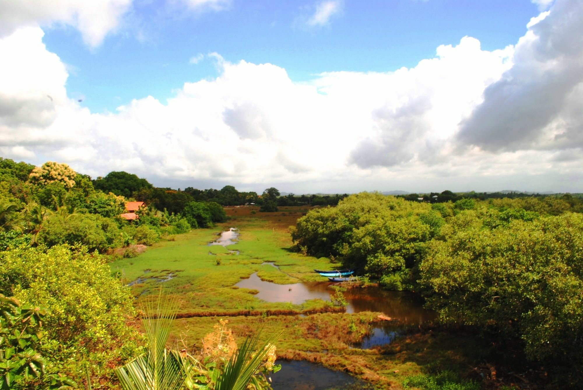 Peacock Land Hotel Tangalle Buitenkant foto
